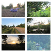 hejhohejhodobockowsieszlo