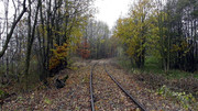 S9960043
