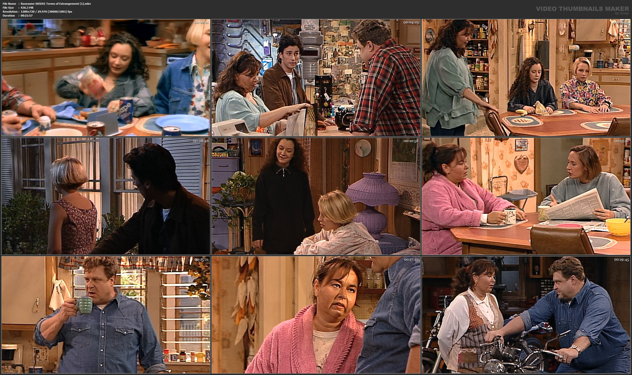 Roseanne S05E01 Terms of Estrangement (1).mkv