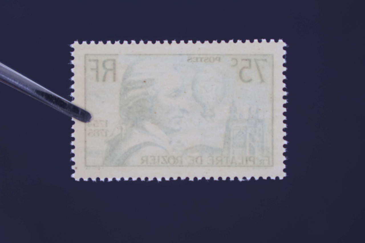 IMG 0503
