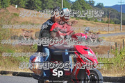IMG-2567