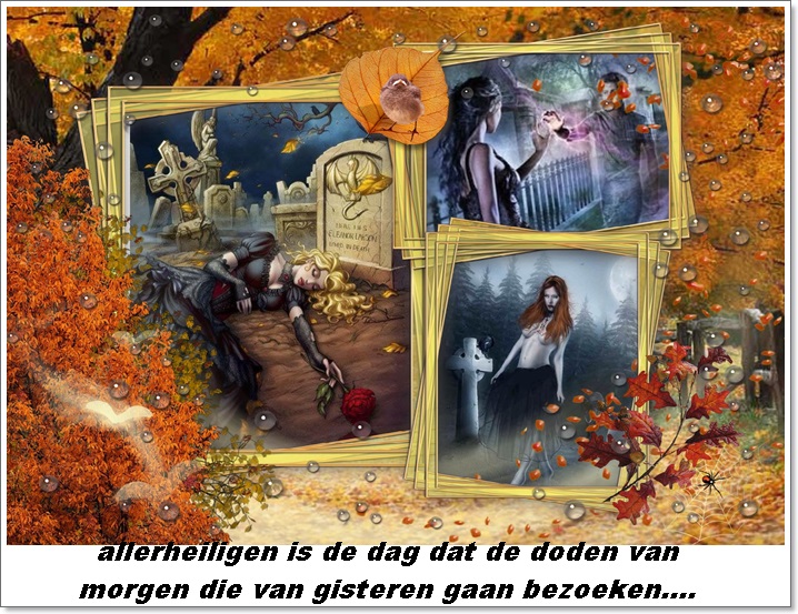 Klik op de afbeelding om de link te volgen