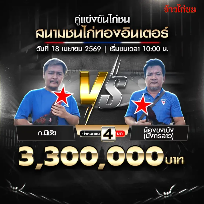 ก.มีชัย พบ น้องขงเบ้ง มังกรลาว สนามชนไก่ทองอินเตอร์