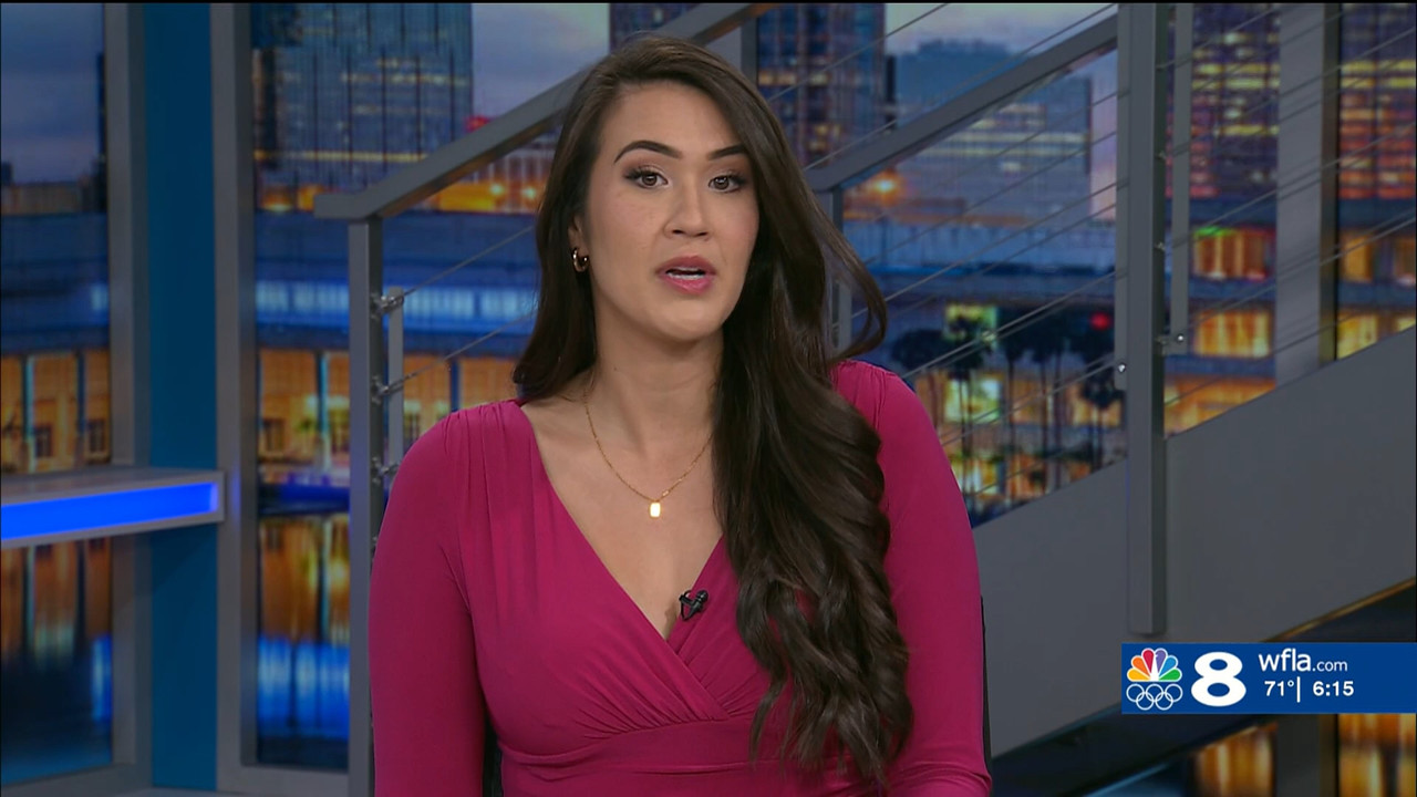 NewsChannel 8 at 6p Sunday_20240310_22002230.ts_snapshot_15.53.279