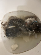 IMG-0068