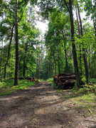 PXL_20210724_134329752