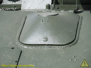 IMG-8339