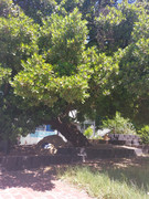 IMG-20250122-WA0278