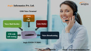 GSM Voice Terminal_aegisinformatics