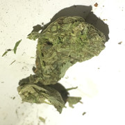 8EFC9B29-8DBC-4CF1-B233-BBF45C1860A8