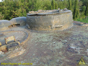 IMG-9339