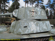 IMG-6345