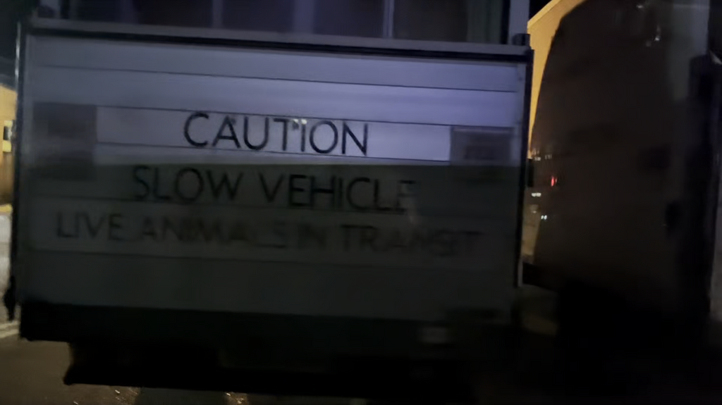 [Image: it0d2tx3t1wc.png]