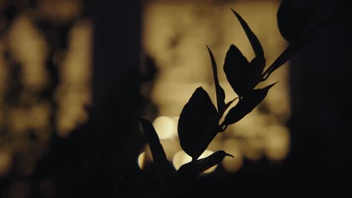 [Image: 9jmiu3wto61p.jpg]