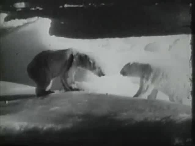 [Image: aj6p7sgpv53i.jpg]