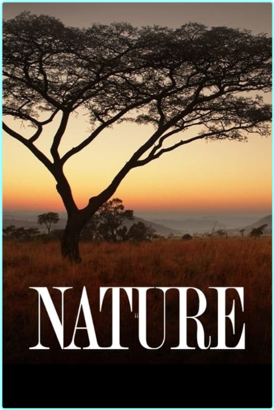 [Image: 5wyb0j0kb0pa.png]