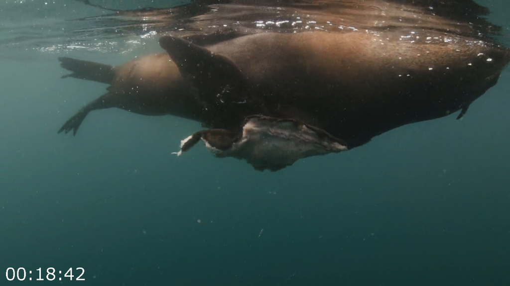 [Image: wnp358kjj3ov.png]