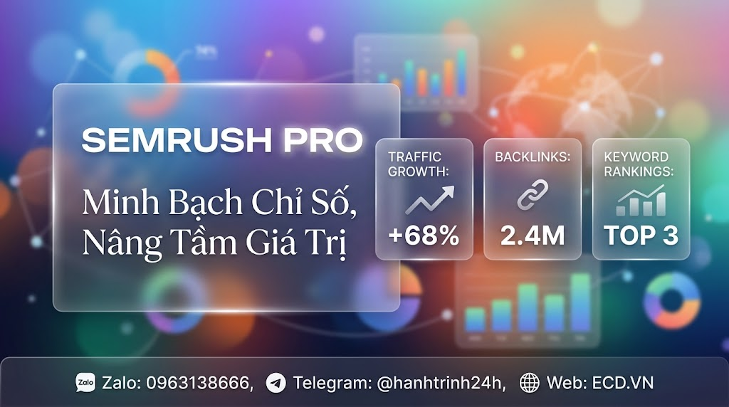 semrush pro cho người mới