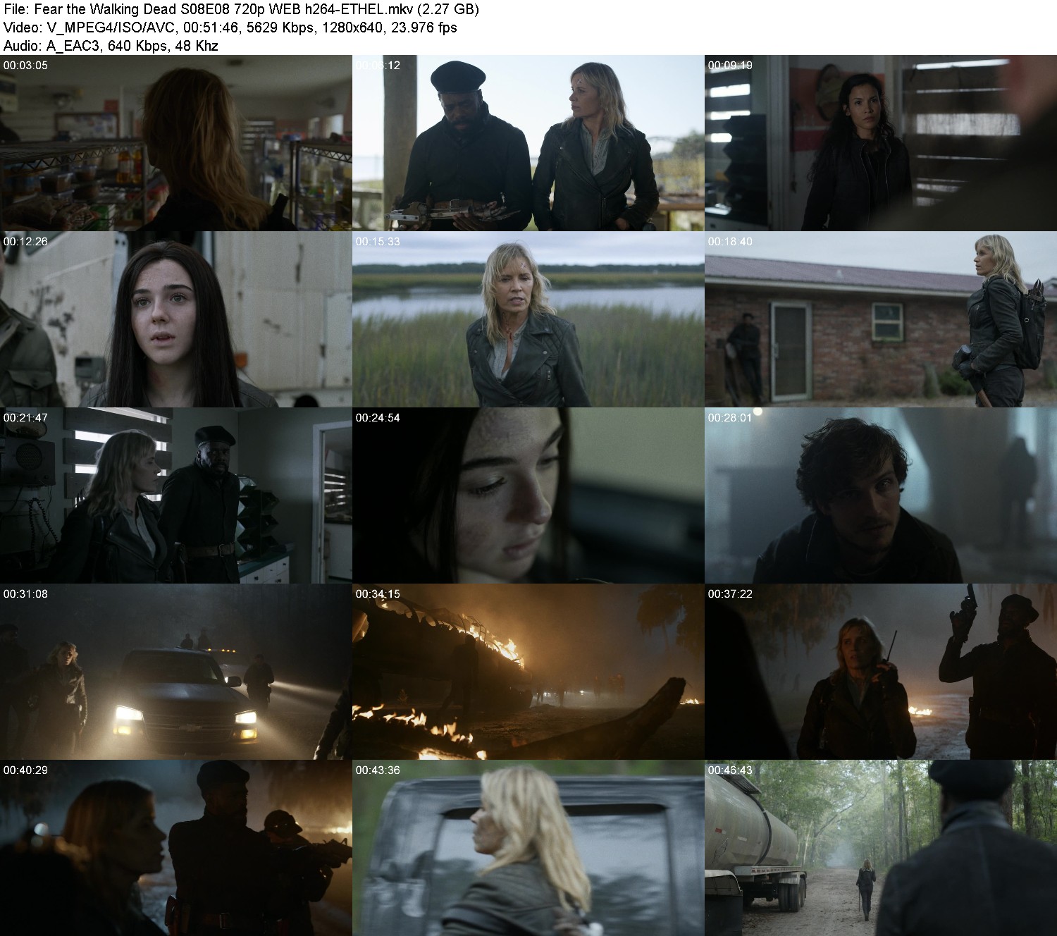 [Image: xtkq9kdb447c.jpg]