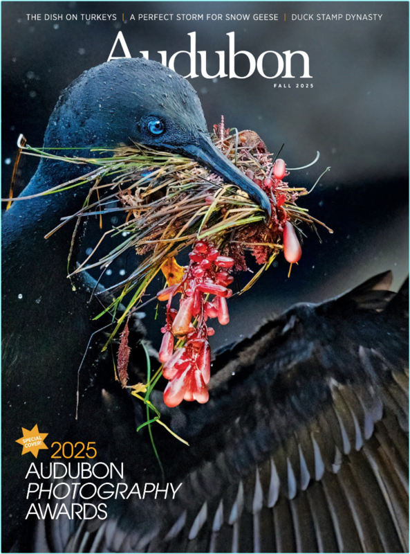 [Image: hx0pahm4r0g8.png]