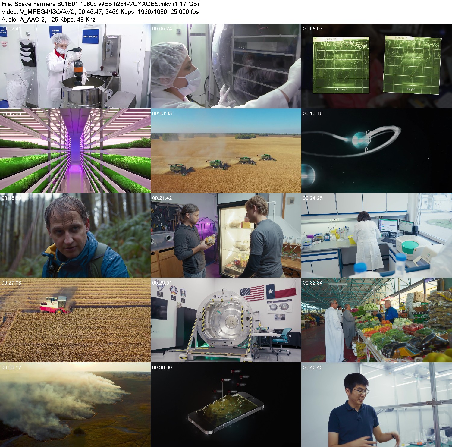 [Image: vw1s5i9vxfs6.jpg]