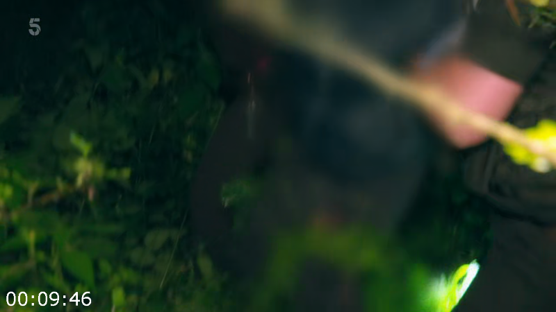 [Image: ll460k5hpwrm.png]