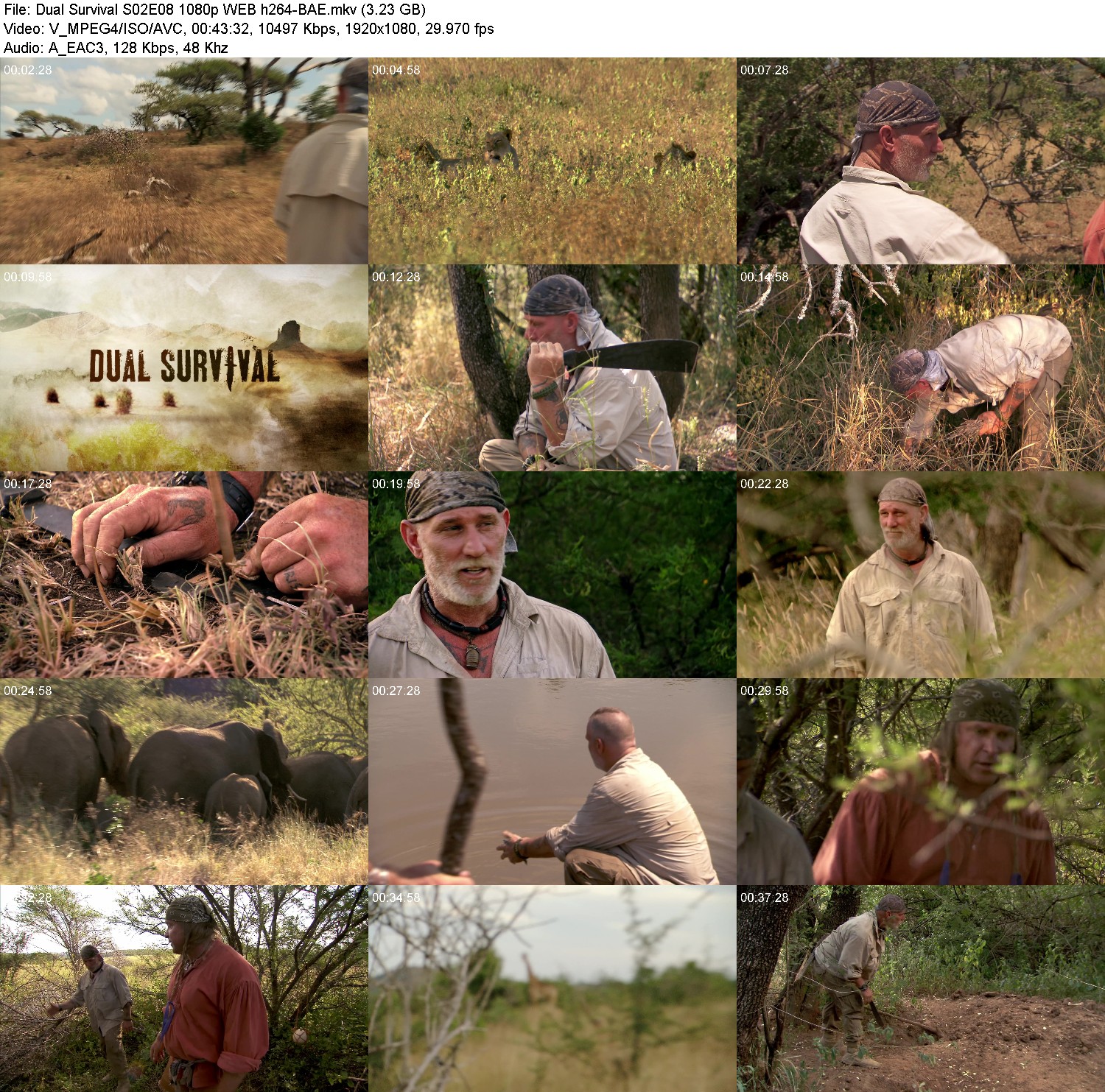 [Image: 94c4lirnm3vy.jpg]