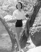 dana-wynter-b27