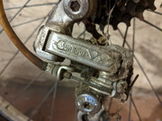 PXL_20221126_160757663