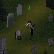 rudmilla does not like mortality