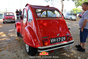 IMG-3061