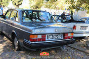 IMG-3181