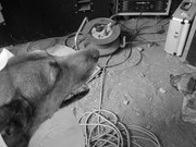 ADP sound system Lokorsko 2009 (121)