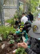 photo-20211123-iherbalgarden-012