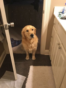 image_2023-02-02_225929827