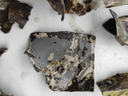 483526232_2050493518795322_8594463140625000567_n