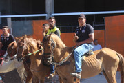 IMG-6986