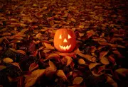 Pumpkins-0044