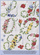 Anna-Special-E719-35