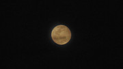 34.2.Halloween Moon II (crop)
