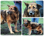 Be-Funky-collage-23.jpg&key=4df1d860e9ee