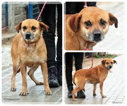 Be-Funky-collage-18.jpg&key=839740e8b741