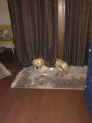 image_2023-02-02_230047047