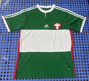 Palmeiras-2014.jpg