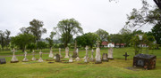 DSC-0010
