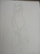 16268871958391474922402424570656