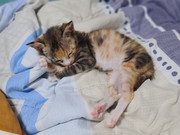 KakaoTalk_20230906_232201317_02