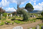 DSC-0148