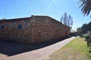 DSC-0053