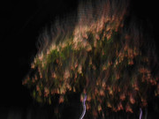 60.3.ghosts of spring III